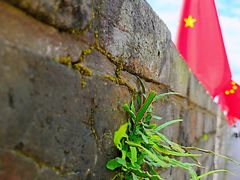 -台州府城(江南长城)