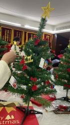 -臻康乃馨月子中心(凯宾斯基店)