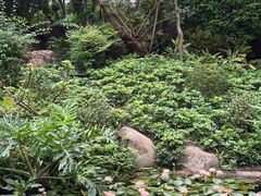 -晓港公园