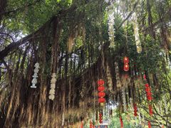-莆田湄洲妈祖祖庙