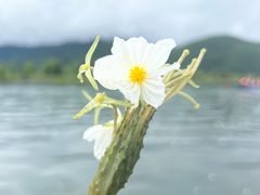 -丽江泸沽湖景区