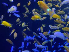 -成都浩海立方海洋公园