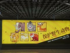 -郑州新郑国际机场