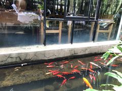 -新竹里馆·花园餐厅(兴苑路店)