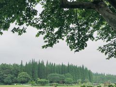 -宜兴龙背山森林公园