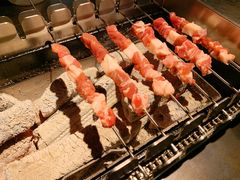 呼伦贝尔羊肉串-很久以前羊肉串(中山公园店)