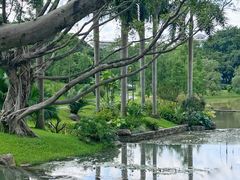 -云溪植物园