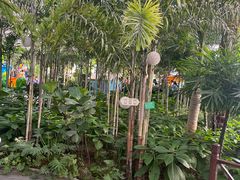 -南宫五洲植物乐园