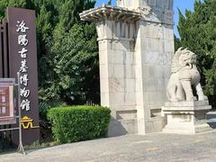 -洛阳古墓博物馆