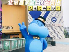-盒马X会员店(王府井奥莱UP TOWN店)