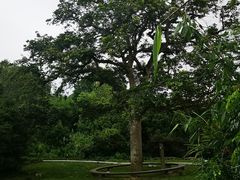 -福建鲤鱼洲酒店