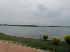 -丁香湖公园