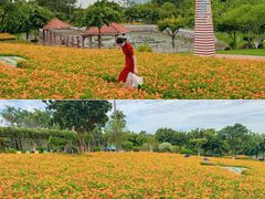 -广州莲花山旅游区