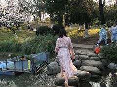 -堤角公园