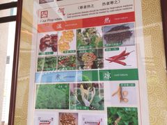 -广州神农草堂中医药博物馆