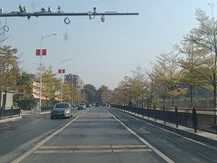 -长洲岛