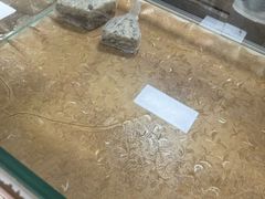 -杨招娣糕点(装驾桥巷店)