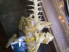 -丽江庭院之丽江往事(安定门店)