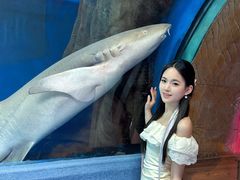 -合肥海洋世界