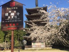 -醍醐寺