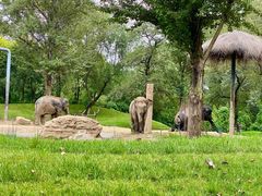 -北京野生动物园