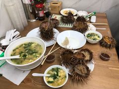 鲜海胆-海胆小馆(东北水饺·春柳店)