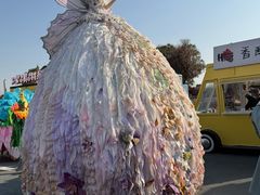 -荷兰花海
