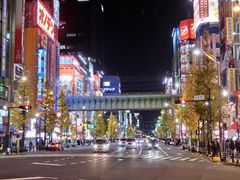 -秋叶原电器街