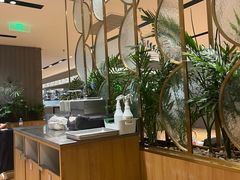 -Shake Shack(西单大悦城店)