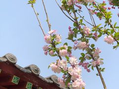 -张家湾公园