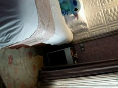 android_upload_pic-谷兹·怡家城市(绵阳铁牛广场店)
