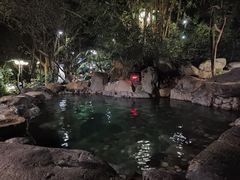 -湖泉半山温泉(湖泉生态园)