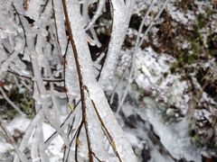 -西岭雪山大飞水景区