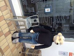 泰迪熊博物馆-济州岛泰迪熊博物馆