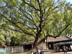 -宁波市保国寺古建筑博物馆