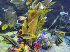 -太平洋海底世界