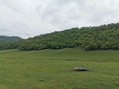 -关山草原
