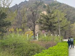 -北京鹫峰国家森林公园