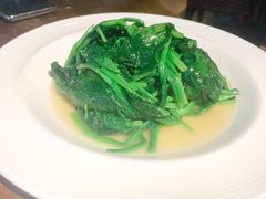 清炒时令蔬菜-金枝玉叶上海人家食府(三里河店)