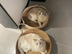 -美迦爱-牙专科·兔科·骨科诊疗中心(北苑店)