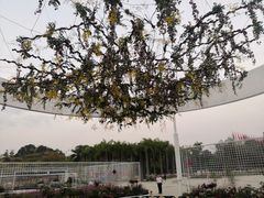 -深圳国际园林花卉博览园