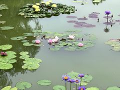 -国家植物园南园