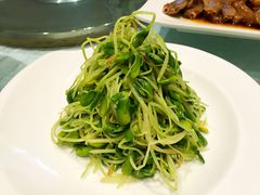 凉拌绿豆芽-渔堂公园餐厅·本帮菜(乐园路店)