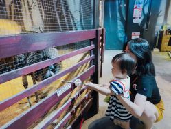 -酷嗒动物文化乐园(cutezoo西溪乐天城店)