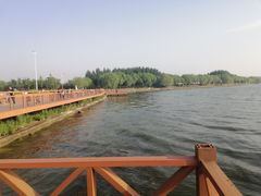 -丁香湖公园