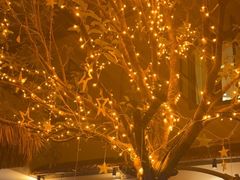 -后湖小院·乡野田园菜