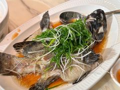 -陶陶居酒家(SM二期购物广场店)