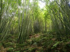 -四洞沟景区