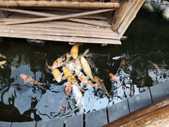 -上海大自然野生昆虫馆(东方明珠·爬宠昆虫探索中心)