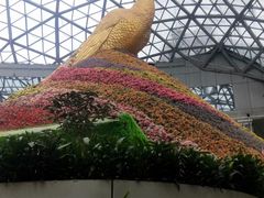 -花之城